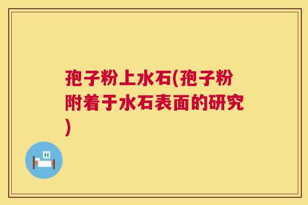 孢子粉上水石(孢子粉附着于水石表面的研究) 孢子粉上水石(孢子粉附着于水石表面的研究)