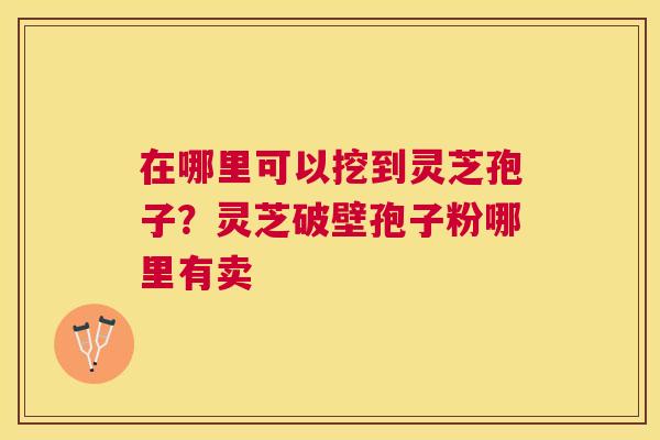 在哪里可以挖到灵芝孢子？灵芝破壁孢子粉哪里有卖