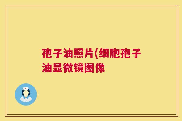 孢子油照片(细胞孢子油显微镜图像
