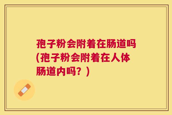 孢子粉会附着在肠道吗(孢子粉会附着在人体肠道内吗?) 孢子粉会附着在肠道吗(孢子粉会附着在人体肠道内吗?)
