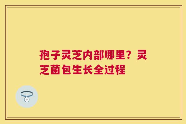 孢子灵芝内部哪里?灵芝菌包生长全过程 孢子灵芝内部哪里?灵芝菌包生长全过程