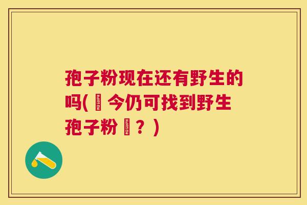 孢子粉现在还有野生的吗(現今仍可找到野生孢子粉嗎？)
