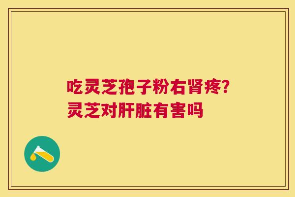 吃灵芝孢子粉右疼?灵芝对有害吗 吃灵芝孢子粉右疼?灵芝对有害吗