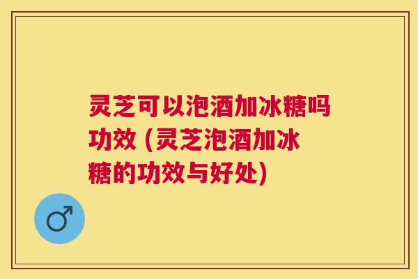 灵芝可以泡酒加冰糖吗功效 (灵芝泡酒加冰糖的功效与好处) 灵芝可以泡酒加冰糖吗功效 (灵芝泡酒加冰糖的功效与好处)