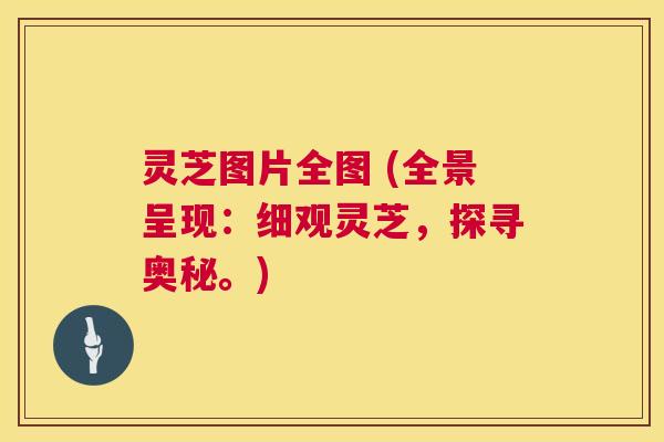灵芝图片全图 (全景呈现:细观灵芝,探寻奥秘。) 灵芝图片全图 (全景呈现:细观灵芝,探寻奥秘。)