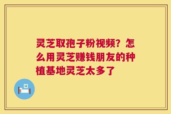 灵芝取孢子粉视频?怎么用灵芝赚钱朋友的种植基地灵芝太多了 灵芝取孢子粉视频?怎么用灵芝赚钱朋友的种植基地灵芝太多了