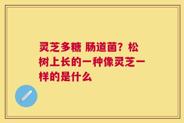 灵芝多糖 肠道菌?松树上长的一种像灵芝一样的是什么 灵芝多糖 肠道菌?松树上长的一种像灵芝一样的是什么