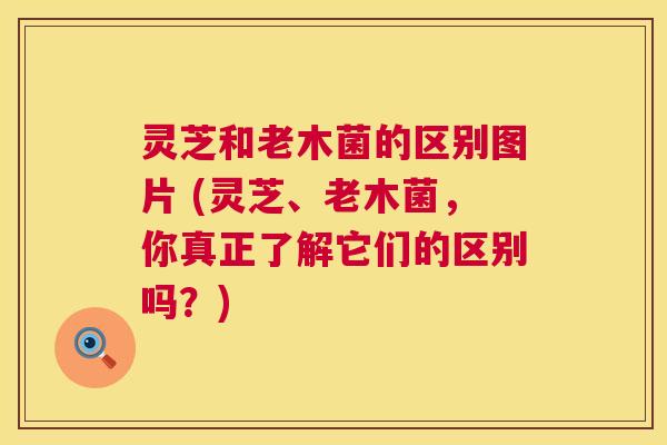 灵芝和老木菌的区别图片 (灵芝、老木菌,你真正了解它们的区别吗?) 灵芝和老木菌的区别图片 (灵芝、老木菌,你真正了解它们的区别吗?)