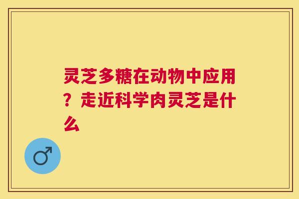 灵芝多糖在动物中应用?走近科学肉灵芝是什么 灵芝多糖在动物中应用?走近科学肉灵芝是什么
