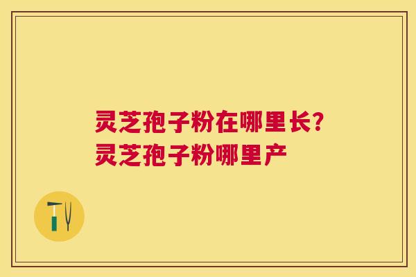 灵芝孢子粉在哪里长？灵芝孢子粉哪里产