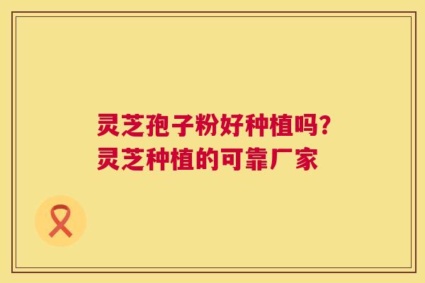 灵芝孢子粉好种植吗?灵芝种植的可靠厂家 灵芝孢子粉好种植吗?灵芝种植的可靠厂家