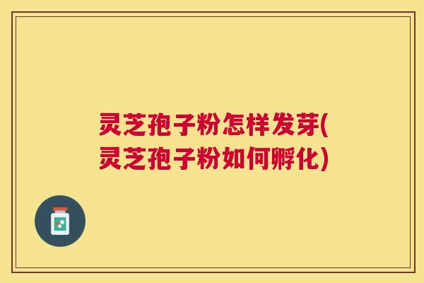 灵芝孢子粉怎样发芽(灵芝孢子粉如何孵化)