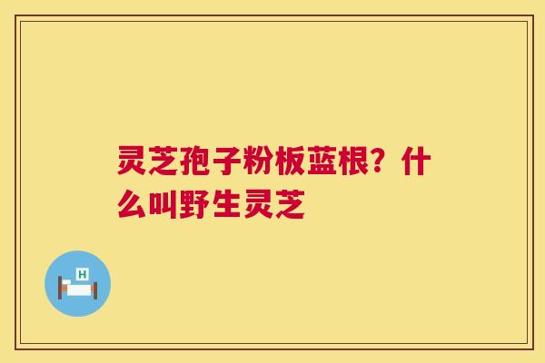 灵芝孢子粉板蓝根?什么叫野生灵芝 灵芝孢子粉板蓝根?什么叫野生灵芝