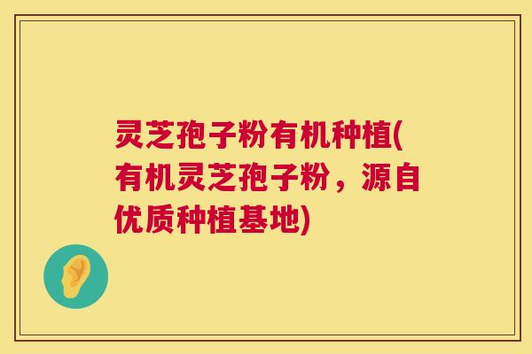 灵芝孢子粉有机种植(有机灵芝孢子粉,源自优质种植基地) 灵芝孢子粉有机种植(有机灵芝孢子粉,源自优质种植基地)