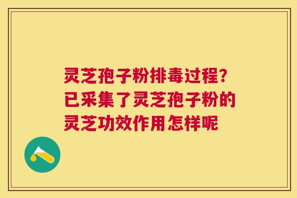 灵芝孢子粉过程?已采集了灵芝孢子粉的灵芝功效作用怎样呢 灵芝孢子粉过程?已采集了灵芝孢子粉的灵芝功效作用怎样呢