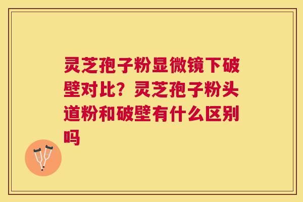 灵芝孢子粉显微镜下破壁对比？灵芝孢子粉头道粉和破壁有什么区别吗