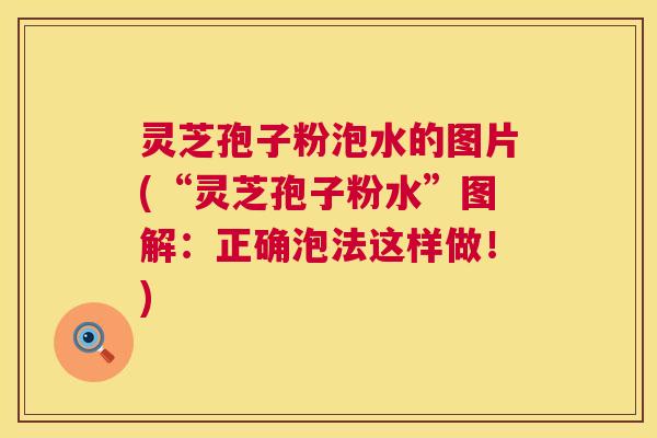 灵芝孢子粉泡水的图片(“灵芝孢子粉水”图解：正确泡法这样做！)