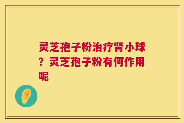 灵芝孢子粉小球?灵芝孢子粉有何作用呢 灵芝孢子粉小球?灵芝孢子粉有何作用呢