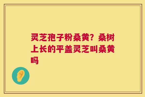灵芝孢子粉桑黄?桑树上长的平盖灵芝叫桑黄吗 灵芝孢子粉桑黄?桑树上长的平盖灵芝叫桑黄吗