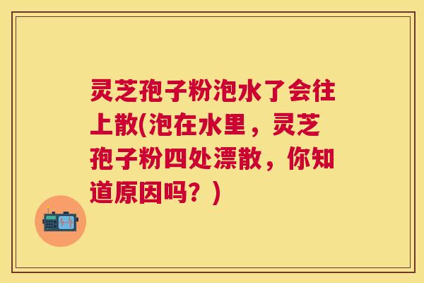 灵芝孢子粉泡水了会往上散(泡在水里,灵芝孢子粉四处漂散,你知道原因吗?) 灵芝孢子粉泡水了会往上散(泡在水里,灵芝孢子粉四处漂散,你知道原因吗?)