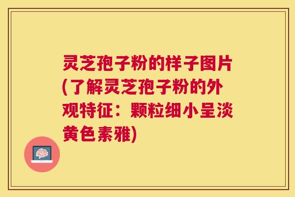 灵芝孢子粉的样子图片(了解灵芝孢子粉的外观特征：颗粒细小呈淡黄色素雅)