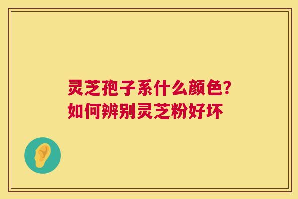 灵芝孢子系什么颜色?如何辨别灵芝粉好坏 灵芝孢子系什么颜色?如何辨别灵芝粉好坏