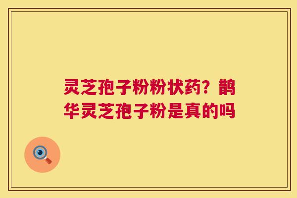 灵芝孢子粉粉状药?鹊华灵芝孢子粉是真的吗 灵芝孢子粉粉状药?鹊华灵芝孢子粉是真的吗