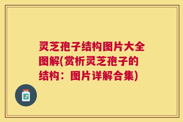 灵芝孢子结构图片大全图解(赏析灵芝孢子的结构:图片详解合集) 灵芝孢子结构图片大全图解(赏析灵芝孢子的结构:图片详解合集)