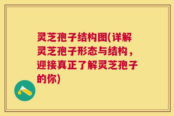 灵芝孢子结构图(详解灵芝孢子形态与结构,迎接真正了解灵芝孢子的你) 灵芝孢子结构图(详解灵芝孢子形态与结构,迎接真正了解灵芝孢子的你)