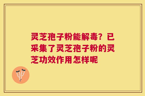 灵芝孢子粉能?已采集了灵芝孢子粉的灵芝功效作用怎样呢 灵芝孢子粉能?已采集了灵芝孢子粉的灵芝功效作用怎样呢