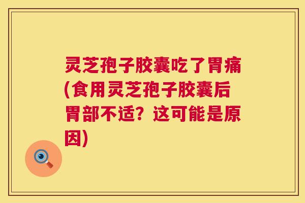 灵芝孢子胶囊吃了胃痛(食用灵芝孢子胶囊后胃部不适？这可能是原因)