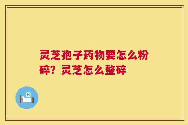 灵芝孢子要怎么粉碎?灵芝怎么整碎 灵芝孢子要怎么粉碎?灵芝怎么整碎