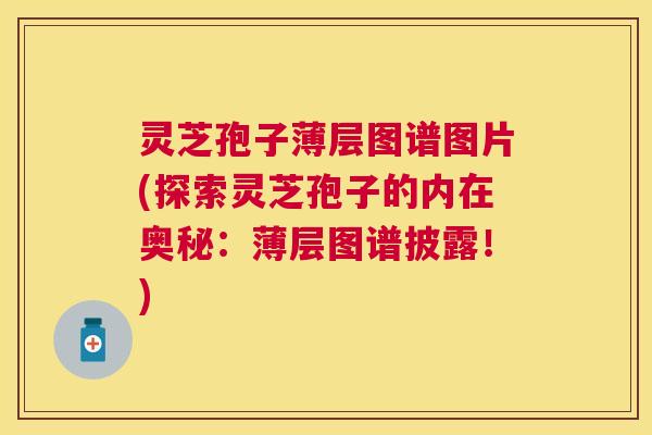 灵芝孢子薄层图谱图片(探索灵芝孢子的内在奥秘：薄层图谱披露！)