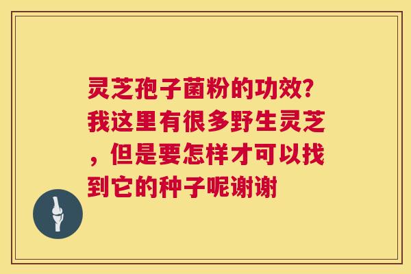 灵芝孢子菌粉的功效？我这里有很多野生灵芝，但是要怎样才可以找到它的种子呢谢谢