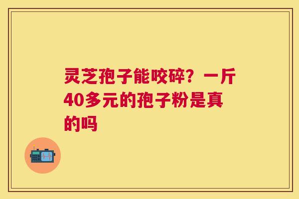 灵芝孢子能咬碎?一斤40多元的孢子粉是真的吗 灵芝孢子能咬碎?一斤40多元的孢子粉是真的吗