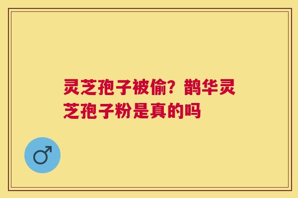 灵芝孢子被偷?鹊华灵芝孢子粉是真的吗 灵芝孢子被偷?鹊华灵芝孢子粉是真的吗