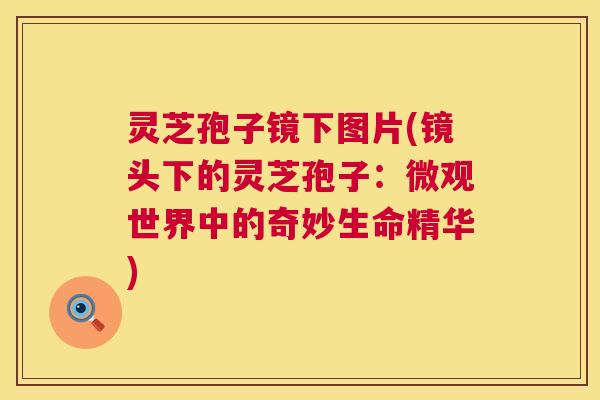 灵芝孢子镜下图片(镜头下的灵芝孢子：微观世界中的奇妙生命精华)
