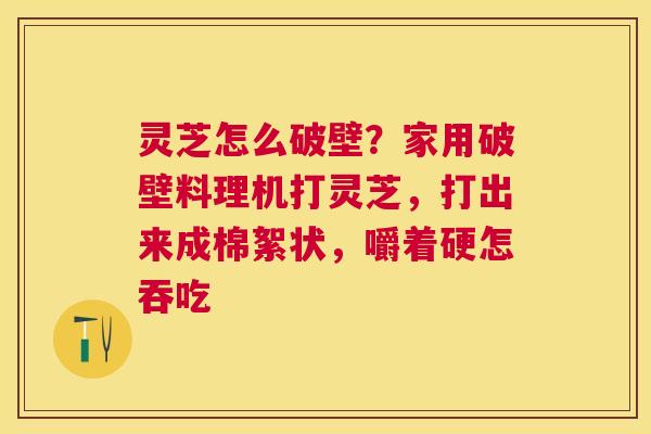 灵芝怎么破壁？家用破壁料理机打灵芝，打出来成棉絮状，嚼着硬怎吞吃