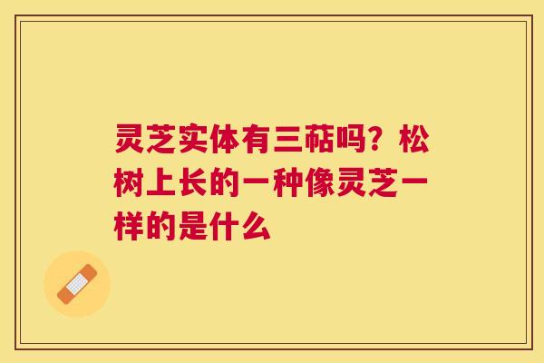 灵芝实体有三萜吗?松树上长的一种像灵芝一样的是什么 灵芝实体有三萜吗?松树上长的一种像灵芝一样的是什么