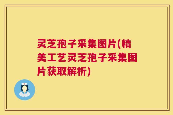灵芝孢子采集图片(精美工艺灵芝孢子采集图片获取解析) 灵芝孢子采集图片(精美工艺灵芝孢子采集图片获取解析)