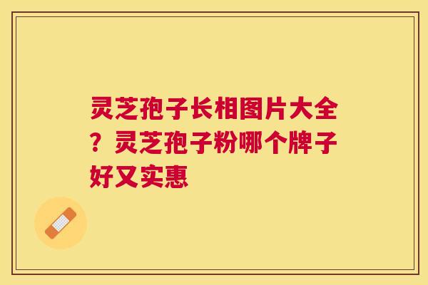 灵芝孢子长相图片大全？灵芝孢子粉哪个牌子好又实惠