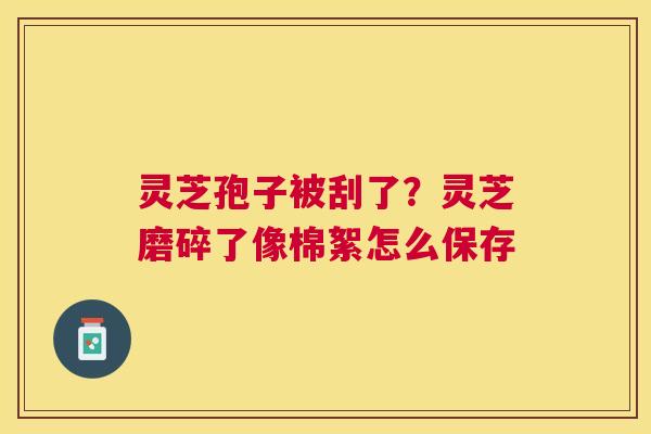灵芝孢子被刮了？灵芝磨碎了像棉絮怎么保存
