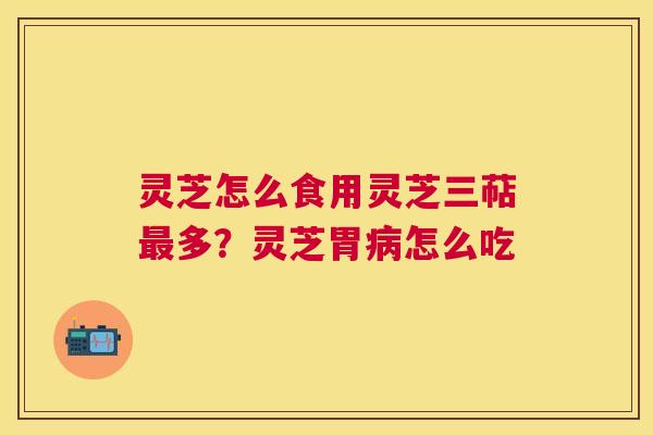 灵芝怎么食用灵芝三萜多？灵芝胃怎么吃