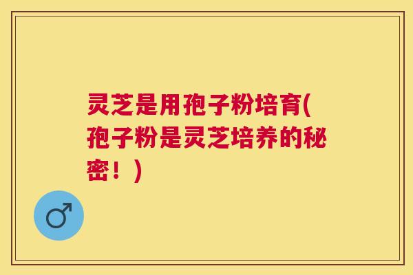 灵芝是用孢子粉培育(孢子粉是灵芝培养的秘密!) 灵芝是用孢子粉培育(孢子粉是灵芝培养的秘密!)