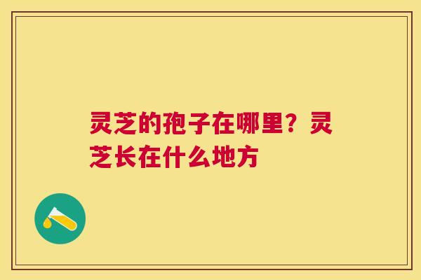 灵芝的孢子在哪里?灵芝长在什么地方 灵芝的孢子在哪里?灵芝长在什么地方