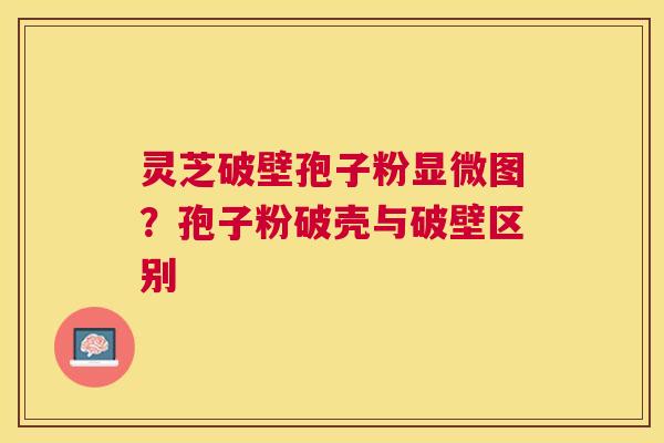 灵芝破壁孢子粉显微图?孢子粉破壳与破壁区别 灵芝破壁孢子粉显微图?孢子粉破壳与破壁区别
