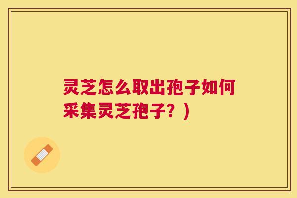 灵芝怎么取出孢子如何采集灵芝孢子？)