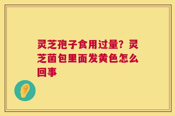 灵芝孢子食用过量？灵芝菌包里面发黄色怎么回事