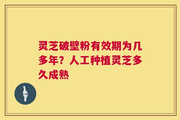 灵芝破壁粉有效期为几多年？人工种植灵芝多久成熟