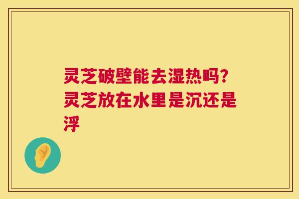 灵芝破壁能去湿热吗?灵芝放在水里是沉还是浮 灵芝破壁能去湿热吗?灵芝放在水里是沉还是浮